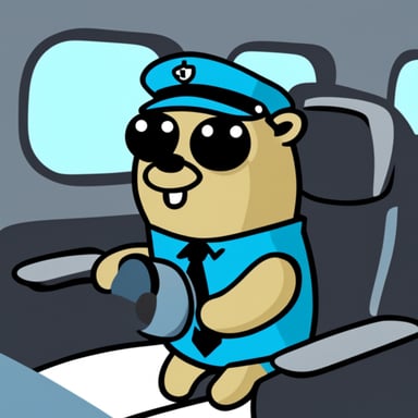 Go Blue Gopher in the airplane